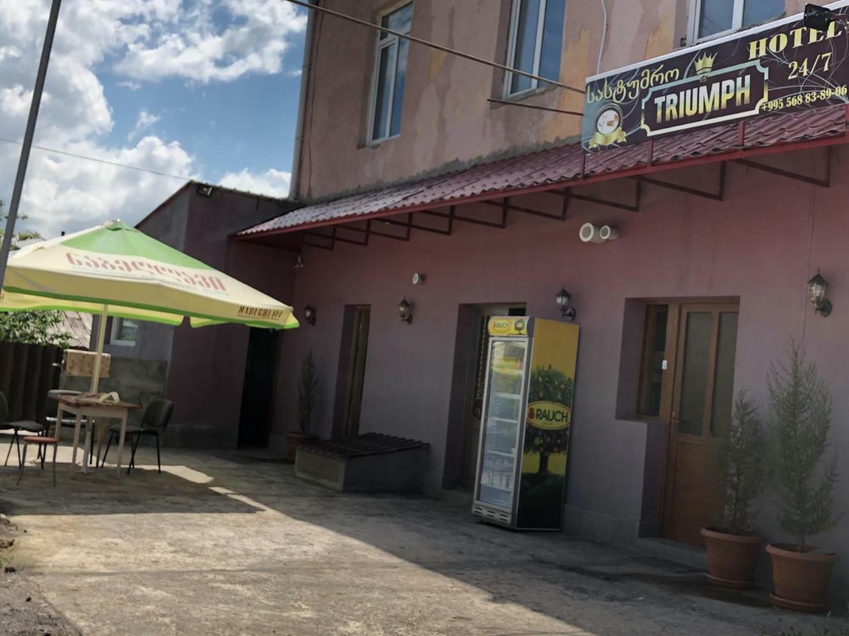 Hotel Triumph Ninotsminda エクステリア 写真