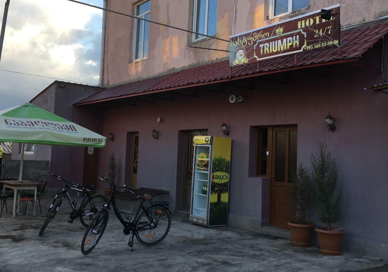 Hotel Triumph Ninotsminda エクステリア 写真
